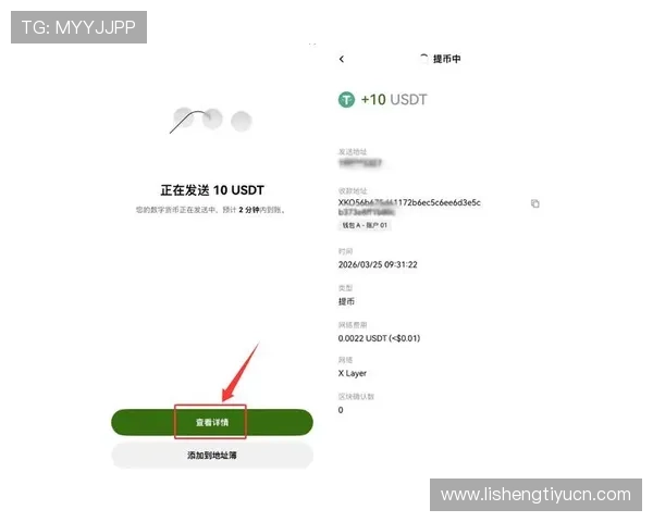 大赢家国际娱乐城的支付方式多样化与快速提现流程介绍